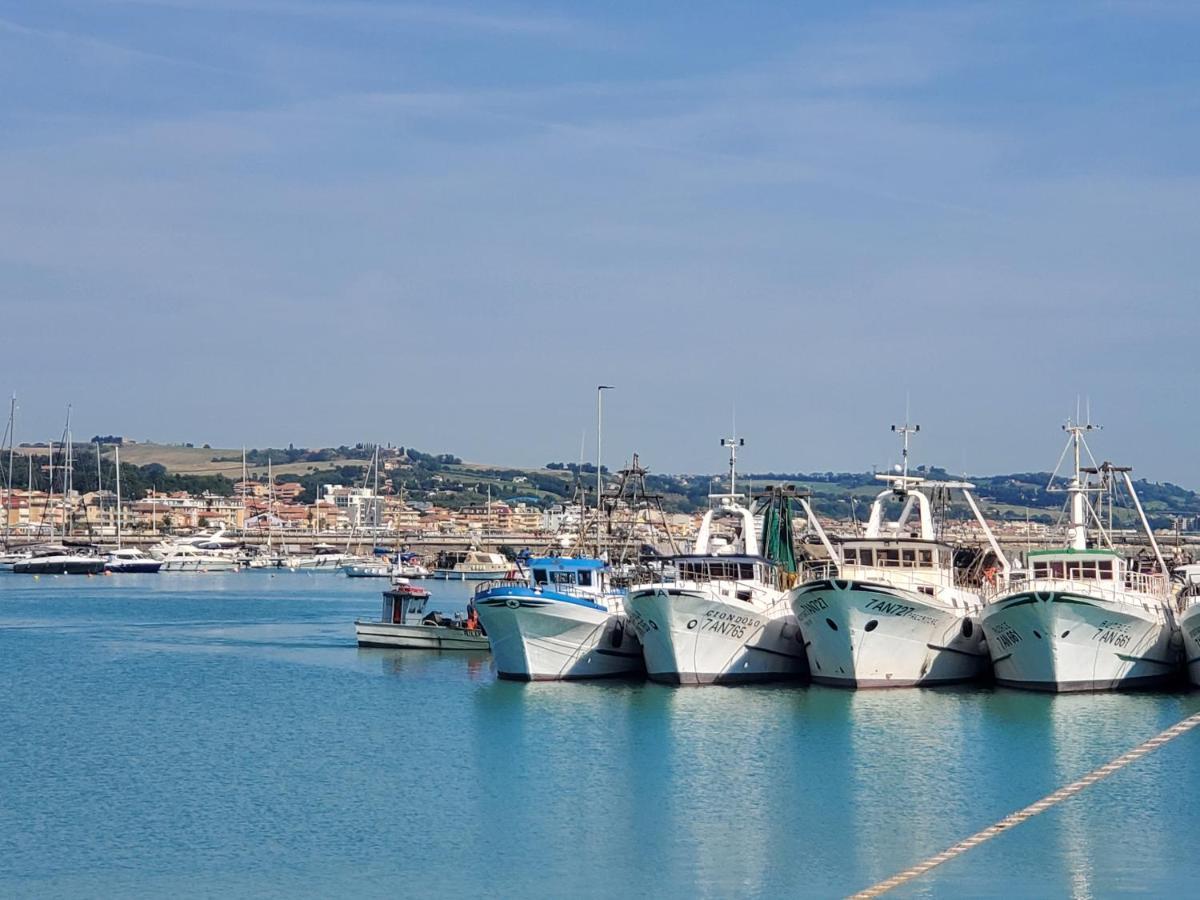 B&B Lido Apartament 10A Civitanova Marche Ngoại thất bức ảnh