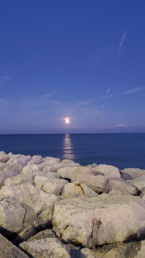 B&B Lido Apartament 10A Civitanova Marche Ngoại thất bức ảnh